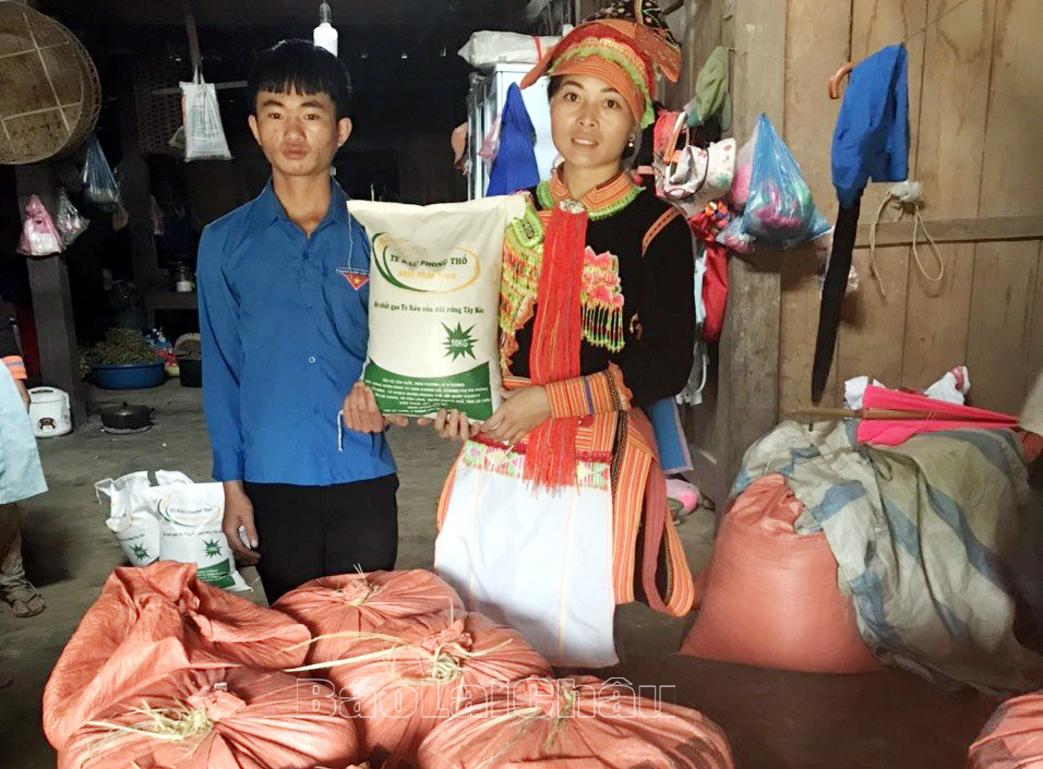  Đoàn viên thanh niên bản Nà Giang (xã BarnLang) trồng lúa tẻ râu cung ứng ra thị trường